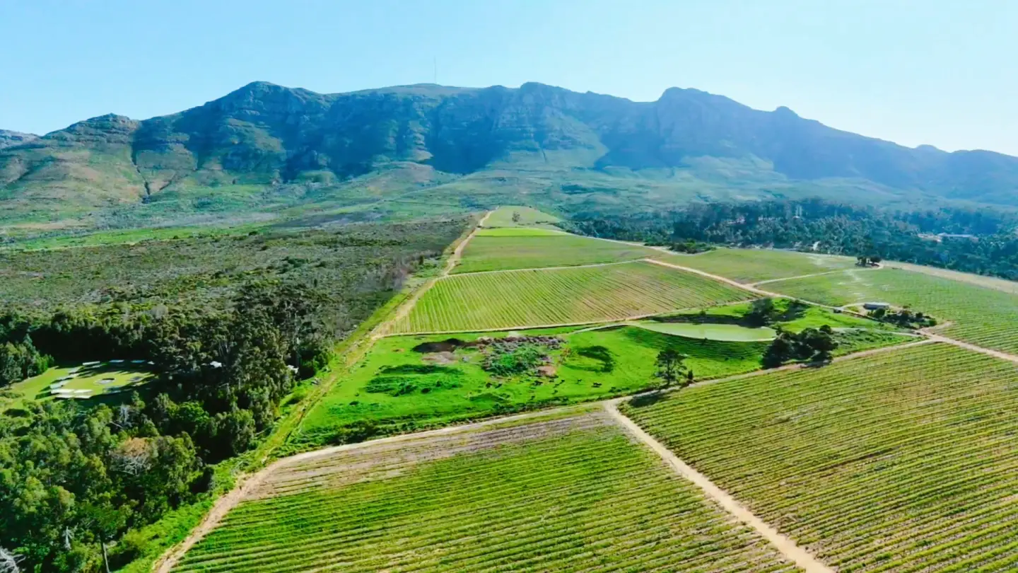 Aerial vineyard at the foot of a mountain range